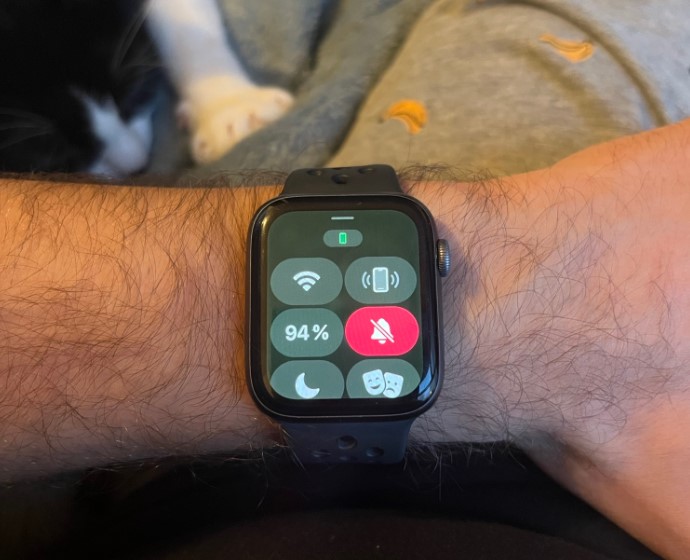 En Son watchOS 9.5 Güncellemesi, Apple Watch'ta Garip Yeşil Ekran Sorununa Neden Oluyor